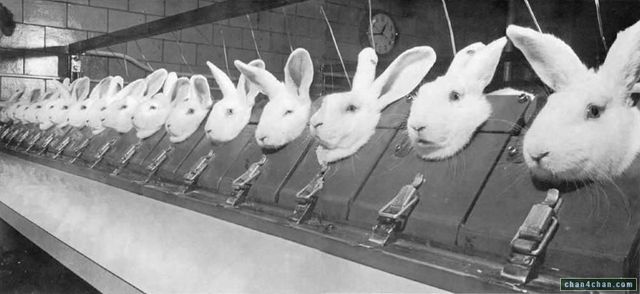 The First Experiment