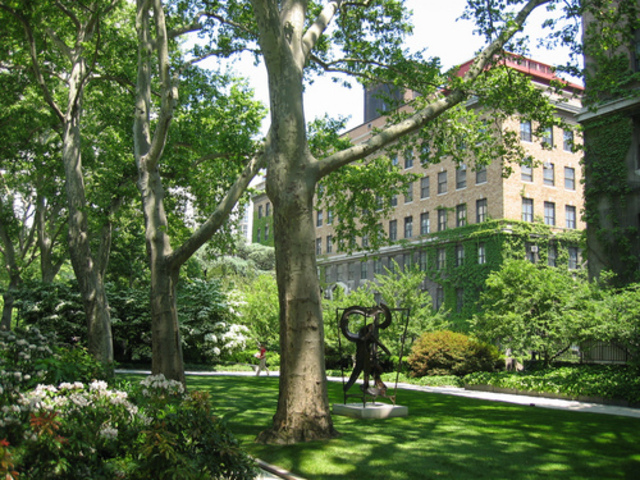 the Rockefeller Institute for Medical Research is founded