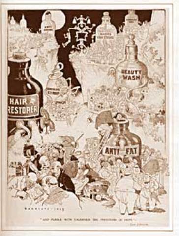 Pure Food and Drug Act(public service reform)