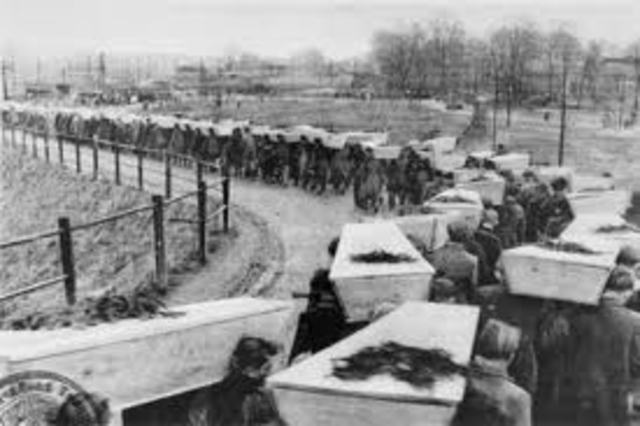 Auschwitz Liberation