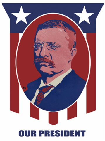 Corrupt Practice Act was passed