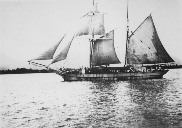 First of the South Sea Islanders