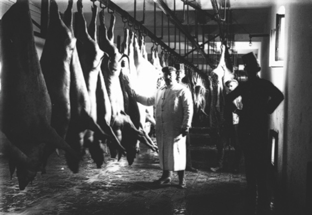 Meat Inspection Act: a Public Service Reform