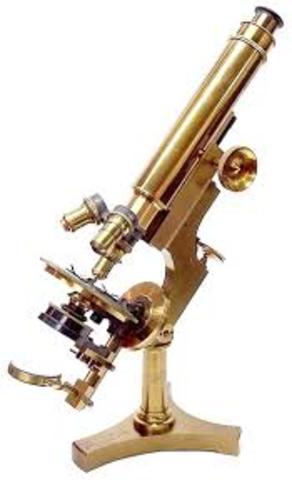 Microscope