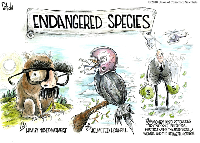 Endangered Species Act