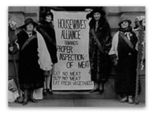 Pure Food and Drug Act- Business Reform