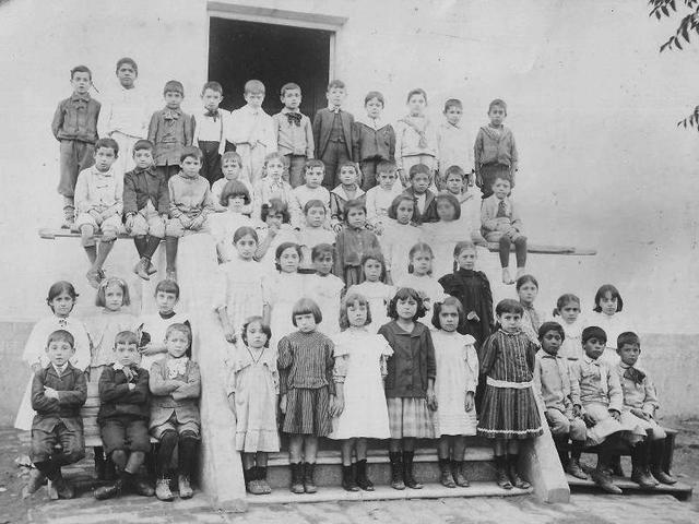 Organización de la Educación Pública