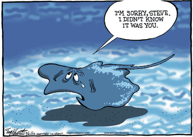 Death of the crocodile hunter