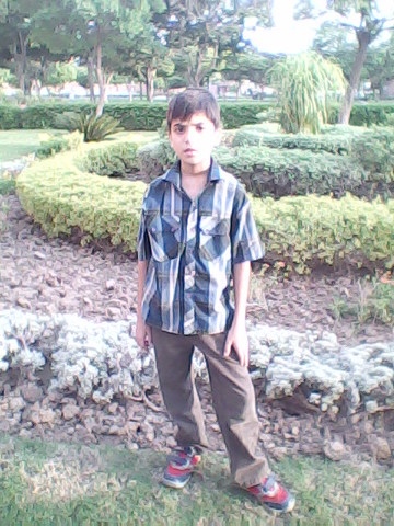 Picnic during sumer vacation