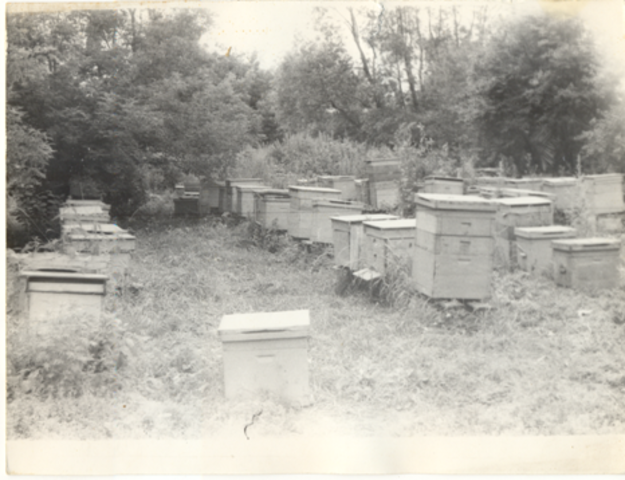 Начало деятельности Полтинина П.А.