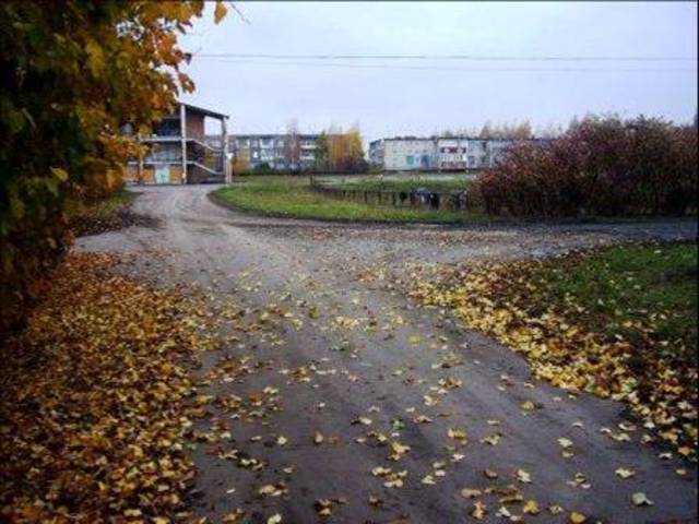 п. Лесной Воронеж