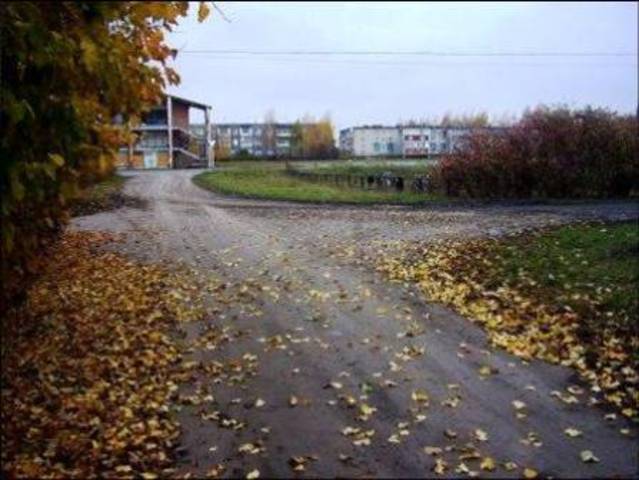 п. Лесной Воронеж сегодня