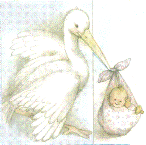 Nascimento da Mafalda