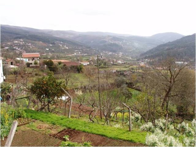 viagem para Nespereira (Mafalda)