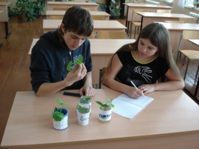 закладка опыта