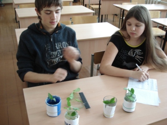 14 корней. прекращение эксперимента