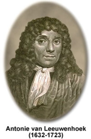 Antonie van Leeuwenhoek