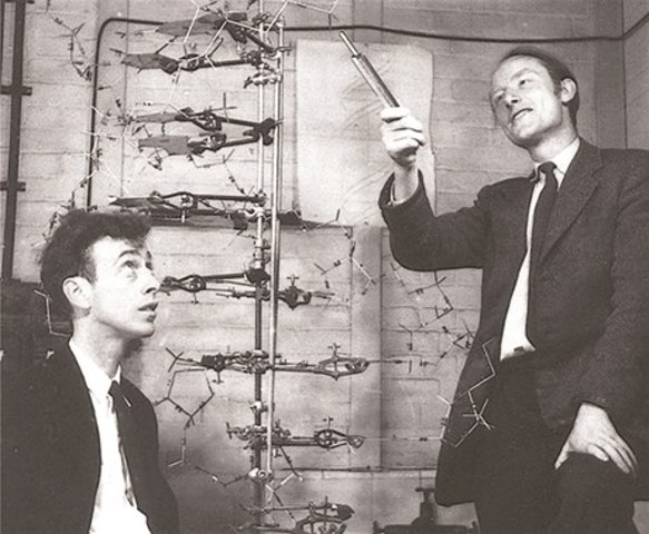 Francis Crick and James Watson