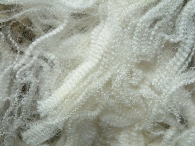 Wool
