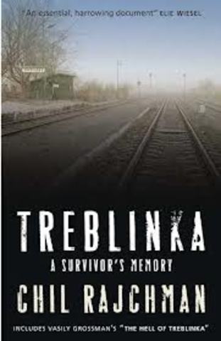 Treblinka: A survivors memory
