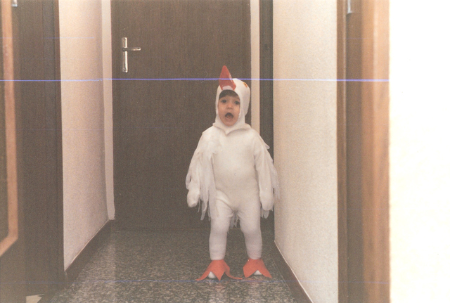 Disfrazada de patito