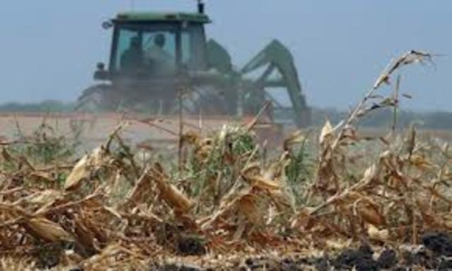 Major Famine in Sudan