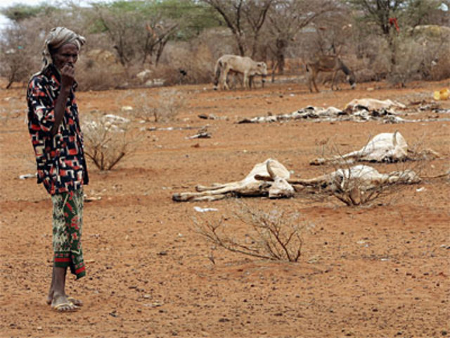 Major Famine in Sudan