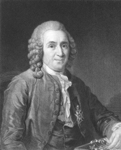 Carl Linnaeus (1707-1778)