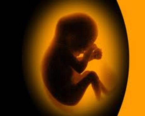 HISTORIA DE LA SEXUALIDAD