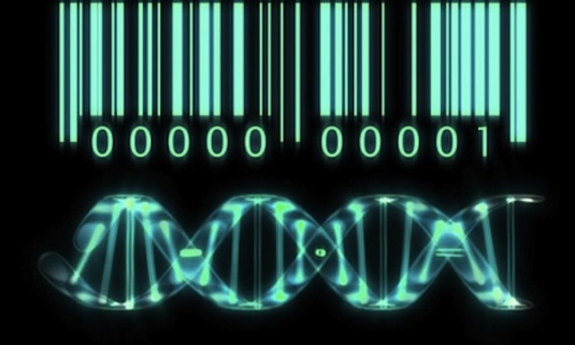 Science would not have the human genome sequence, which provides valuable information on DNA.
