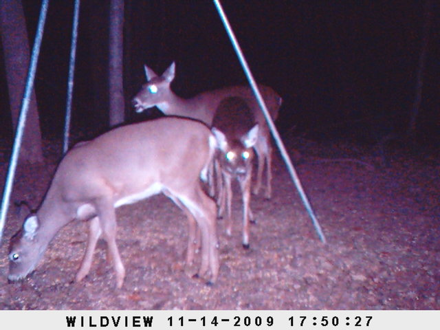 Thursday's To Do List