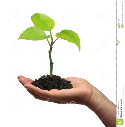 the first time i grew