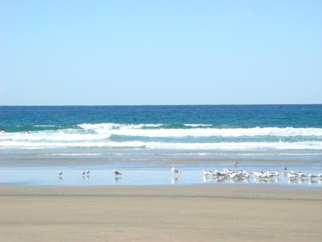 Went to cali with My sister, and Mckenzy