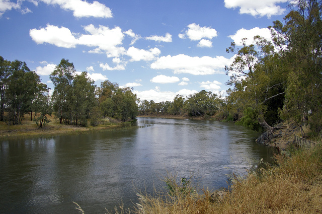 Murrumbidgee Station Massacre