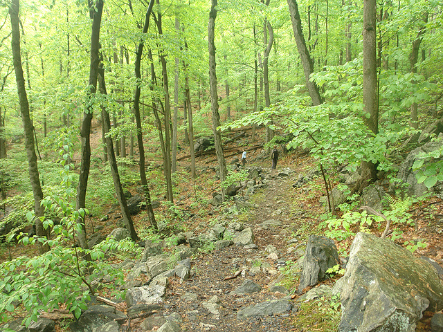 Deep Lead Mining - Laurel Hill