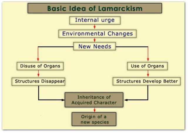 Lamarck Publishes His Theory of Evolution