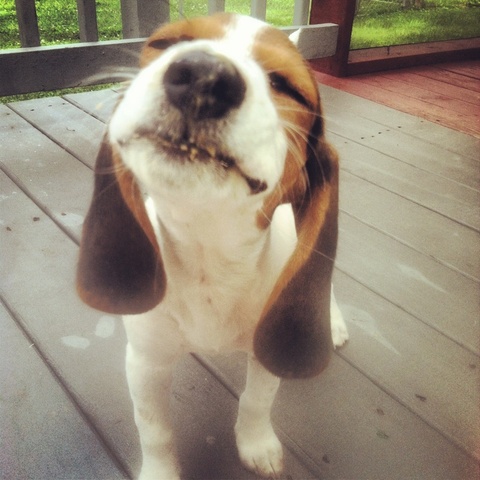 Got my best friend, Cleopatra