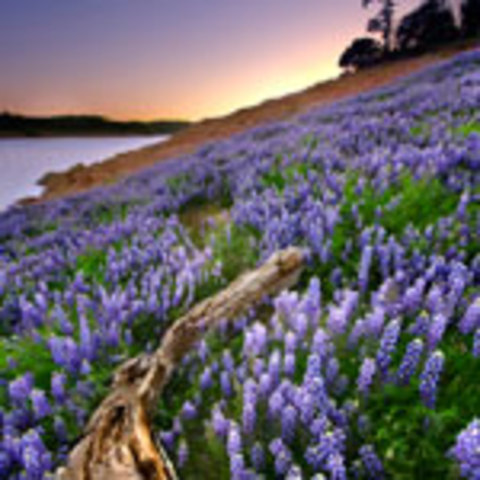 Governor Signs State Budget