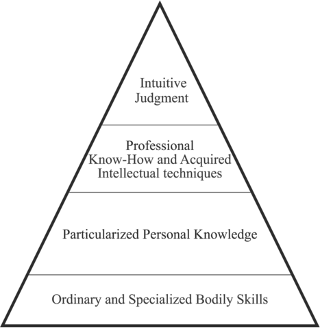 The Functions of the Executive