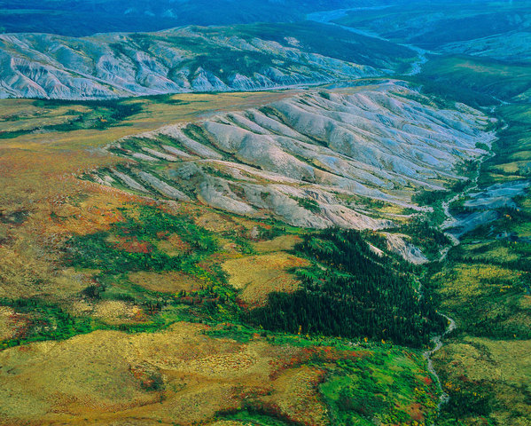 Alberta Act & Saskatchewan Joins Confederation