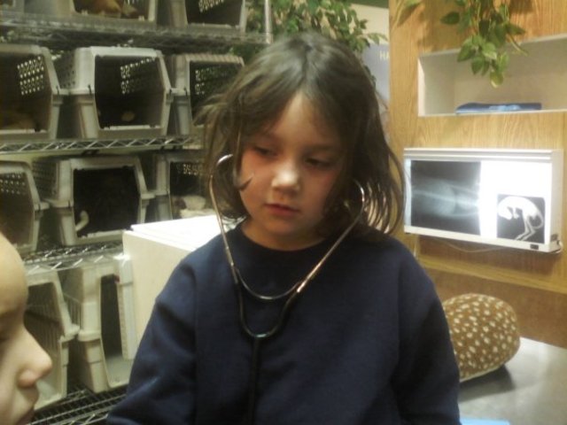 My first year of school