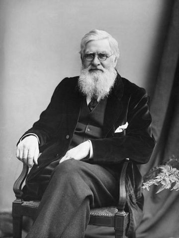 Alfred Russel Wallace .8 January 1823 – 7 November 1913