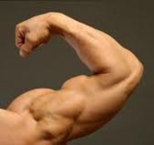 Ch 10 The Shell and the Glasses (155)