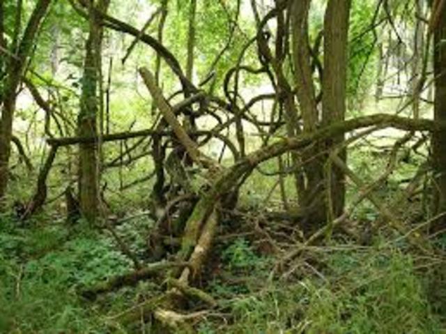 Runing for Safety (199)