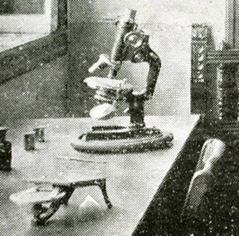 Graduación en Medicina.