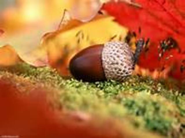 поделки на ёлку из природного материала