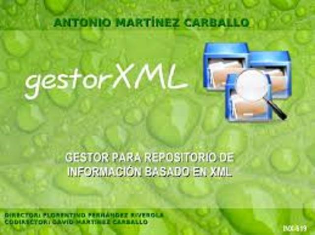sistema XML 2010