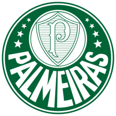 Palmeiras Cai Para Série B