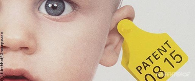 Sentencia del TJ de la UE sobre la patentabilidad del embrión humano