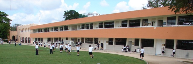 primaria